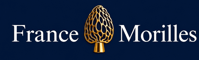 store_logo