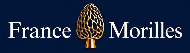 store_logo